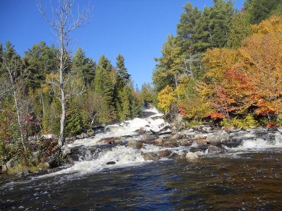 Oxtongue River-Ragged Falls Provincial Park
